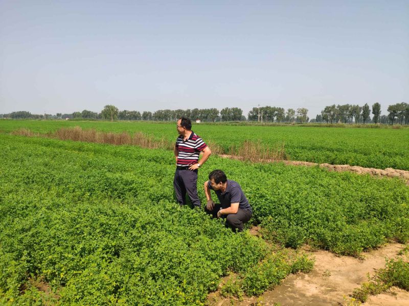 中誠草業主題教育照片1 中誠草業主題教育照片1